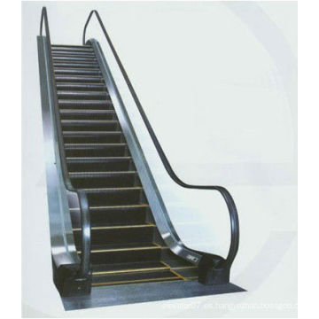 Escalera mecánica para pasamanos